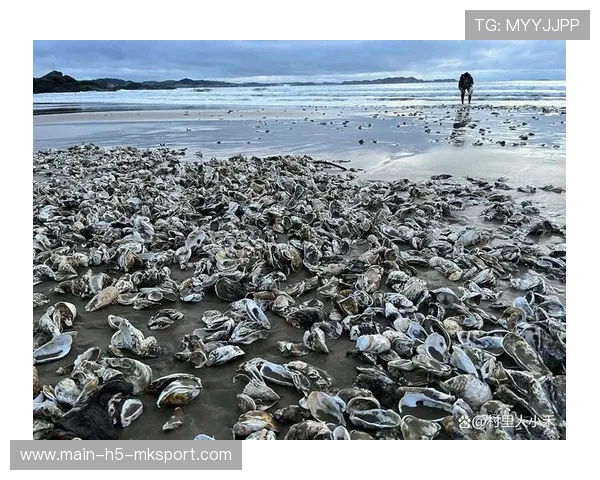 台风过境带来海鲜盛宴，惠州生态亮眼，台风惠州受影响不