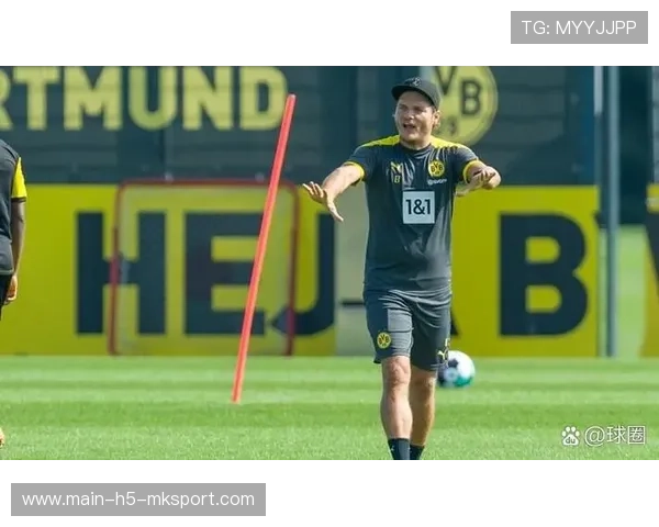 泰尔齐奇教练回归，谋划球队新篇章，泰尔老师